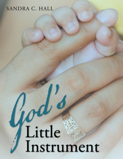 Cover of the book God's Little Instrument by Sandra C. Hall, AuthorHouse