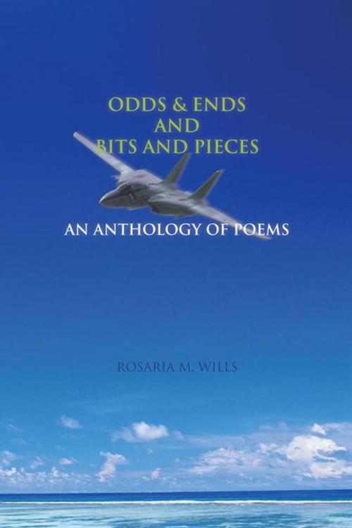 Cover of the book Odds & Ends and Bits and Pieces by Rosaria M. Wills, AuthorHouse