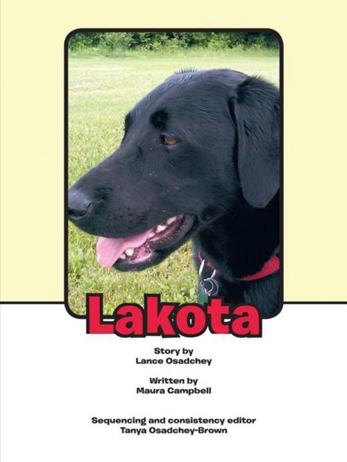 Cover of the book Lakota by Lance Osadchey, AuthorHouse