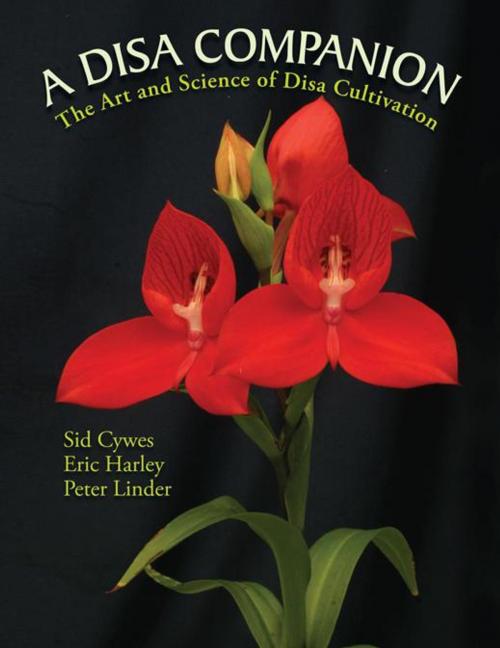 Cover of the book A Disa Companion by Eric Harley, Sid Cywes, Peter Linder, AuthorHouse UK