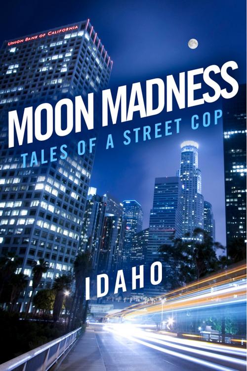 Cover of the book Moon Madness by Idaho, BookBaby