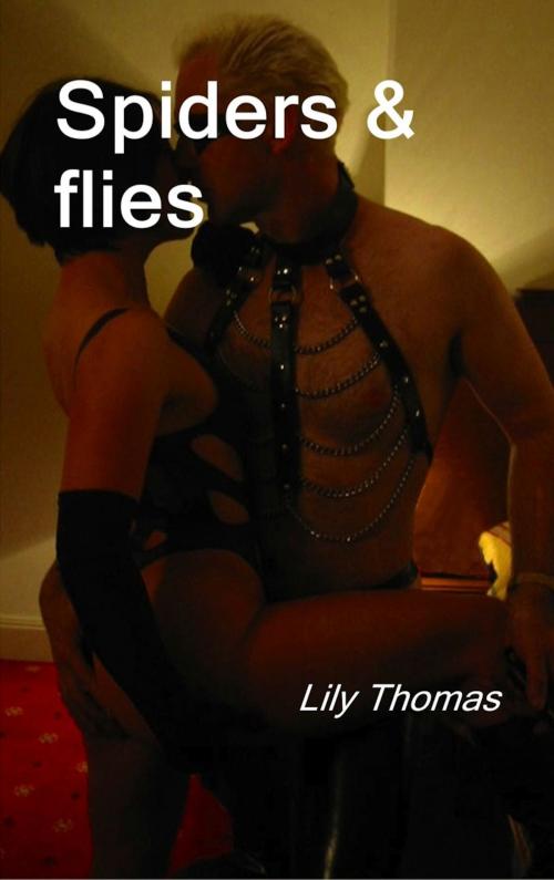 Cover of the book Spiders and Flies by Lily Thomas, BookBaby