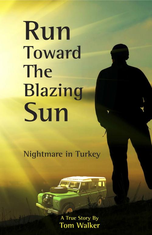 Cover of the book Run Toward the Blazing Sun by Tom Walker, BookBaby