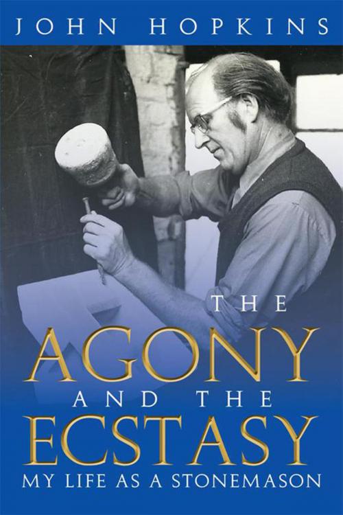 Cover of the book The Agony and the Ecstasy by John Hopkins, Xlibris UK