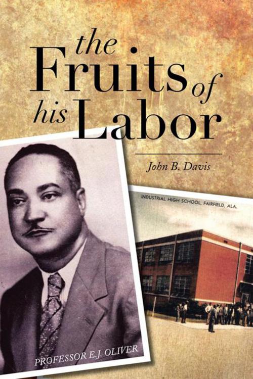 Cover of the book The Fruits of His Labor by John B. Davis, Xlibris US