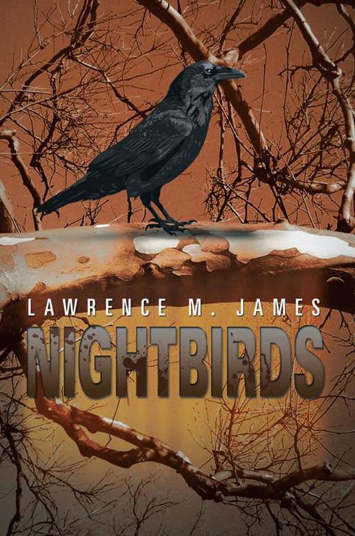 Cover of the book Nightbirds by Lawrence M. James, Xlibris US