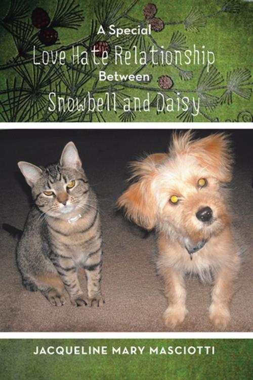 Cover of the book A Special Love Hate Relationship Between Snowbell and Daisy by Jacqueline Mary Masciotti, Xlibris AU