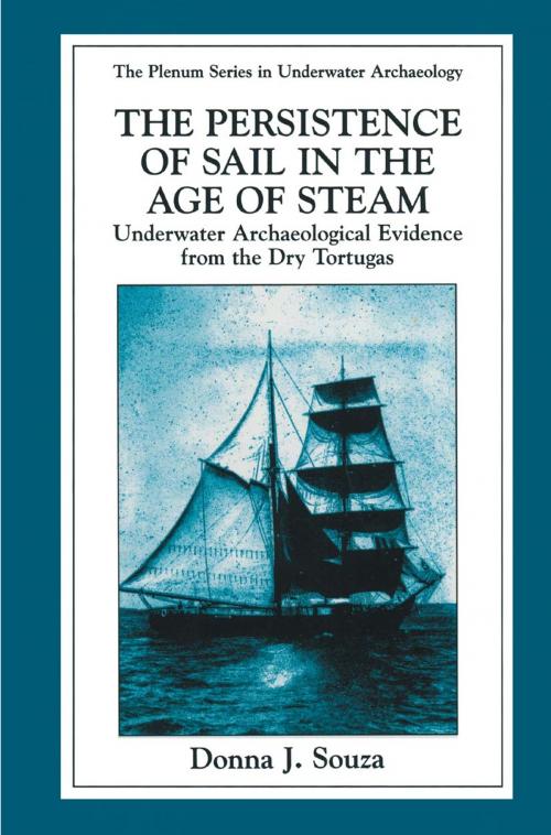 Cover of the book The Persistence of Sail in the Age of Steam by Donna J. Souza, Springer US