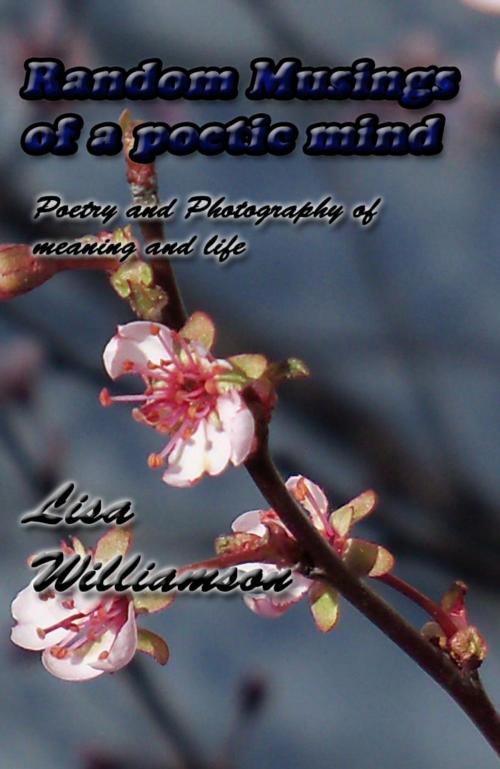 Cover of the book Random Musings of a Poetic Mind by Lisa Williamson, Lisa  Williamson