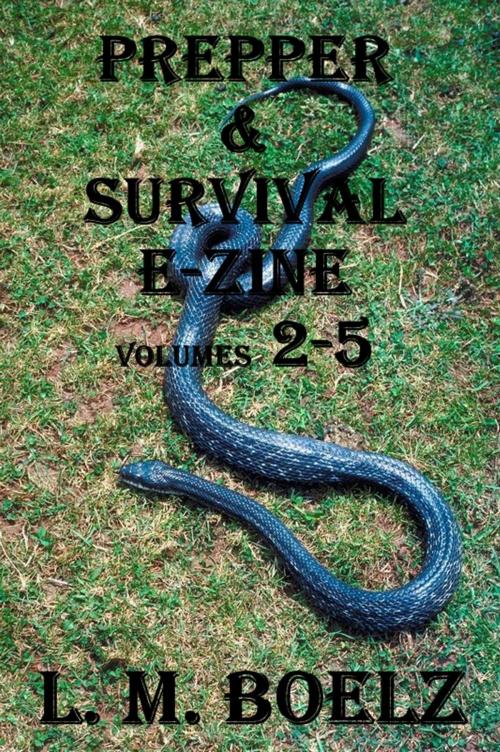 Cover of the book Prepper & Survival E-Zine 2- 5 by L M Boelz, L M Boelz