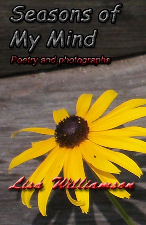 Cover of the book Seasons of my Mind by Lisa Williamson, Lisa  Williamson