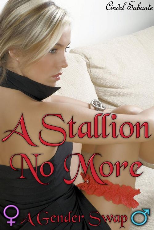 Cover of the book A Stallion No More - A Body Swap Romance by Cindel Sabante, C. Sabante