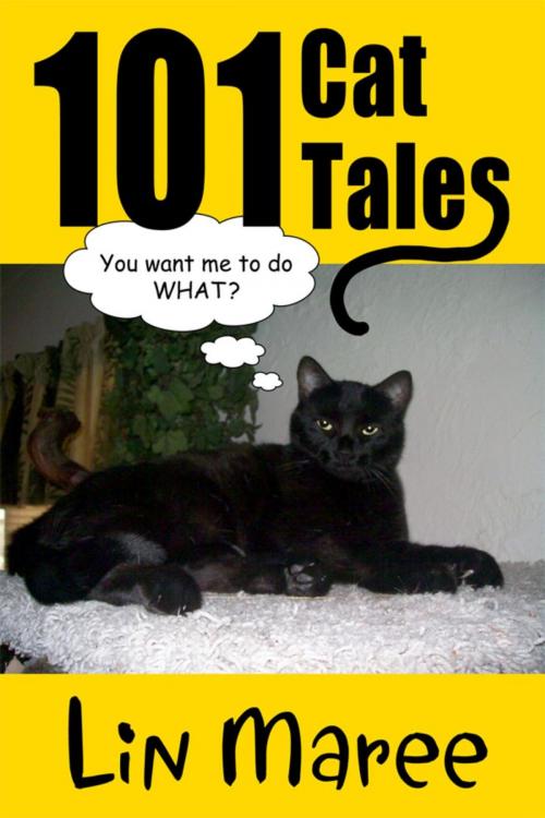 Cover of the book 101 Cat Tales by L M Boelz, L M Boelz