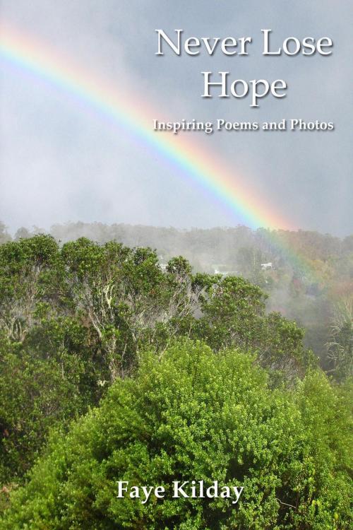 Cover of the book Never Lose Hope: Inspiring Poems and Photos by Faye Kilday, Angel-Inspired Poetry