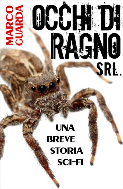 Cover of the book Occhi di Ragno Srl. by Marco Guarda, Marco Guarda