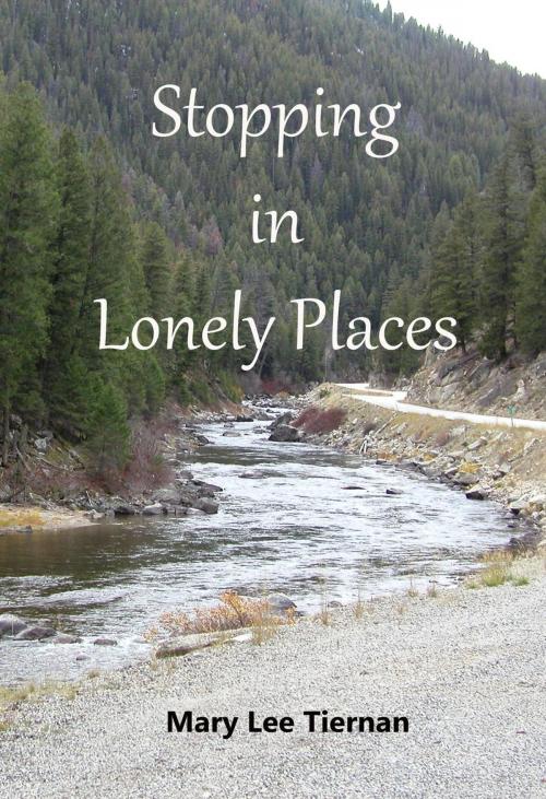 Cover of the book Stopping in Lonely Places by Mary Lee Tiernan, Mary Lee Tiernan