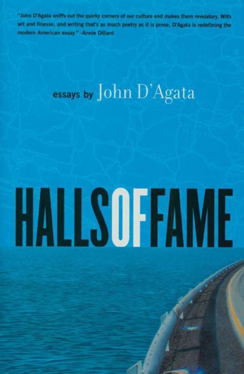 Cover of the book Halls of Fame by John D'Agata, Graywolf Press