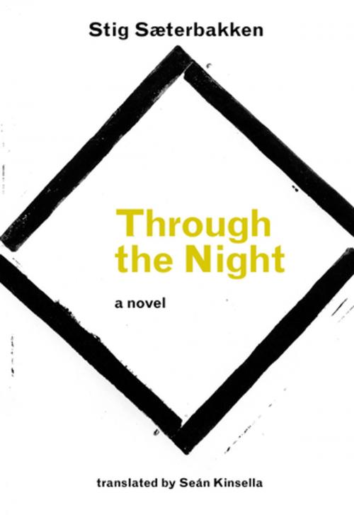 Cover of the book Through the Night by Stig Saeterbakken, Dalkey Archive Press