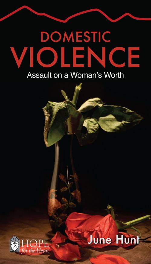 Cover of the book Domestic Violence by June Hunt, Aspire Press