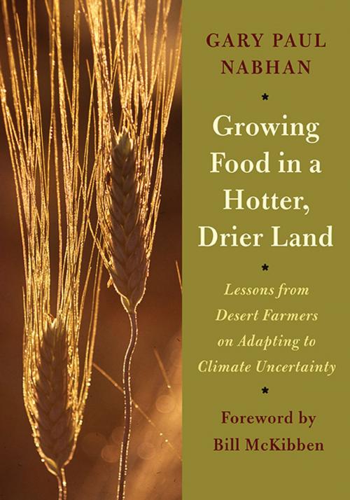 Cover of the book Growing Food in a Hotter, Drier Land by Gary Paul Nabhan, Chelsea Green Publishing