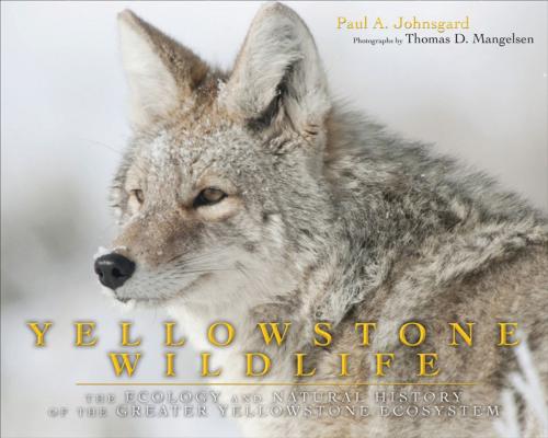 Cover of the book Yellowstone Wildlife by Paul A. Johnsgard, University Press of Colorado