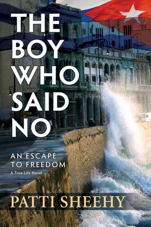 Cover of the book The Boy Who Said No by Patti Sheehy, Oceanview Publishing