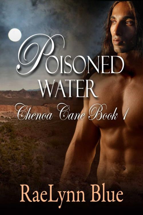 Cover of the book Poisoned Water by RaeLynn Blue, Torrid Books