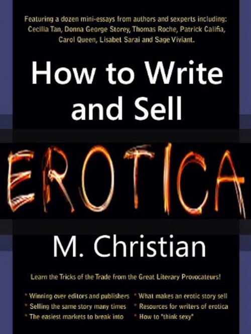 Cover of the book HOW TO WRITE AND SELL EROTICA by M.CHRISTIAN, Renaissance E Books