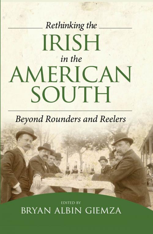 Cover of the book Rethinking the Irish in the American South by , University Press of Mississippi