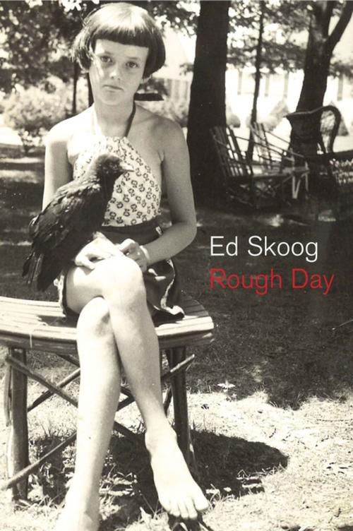 Cover of the book Rough Day by Ed Skoog, Copper Canyon Press