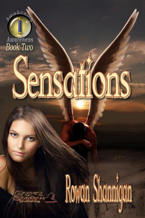 Cover of the book Sensations by Rowan Shannigan, Gypsy Shadow Publishing, LLC