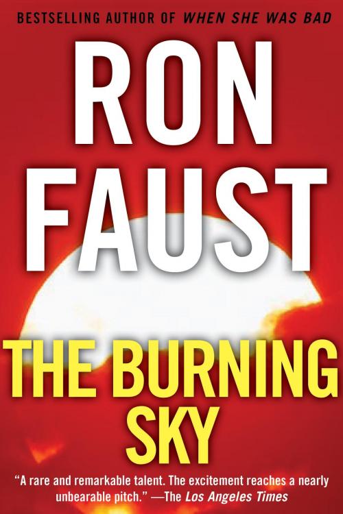 Cover of the book The Burning Sky by Ron Faust, Turner Publishing Company