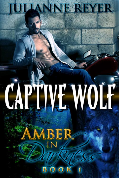 Cover of the book Captive Wolf (Amber in Darkness #1) by Julianne Reyer, Quirky Nights Publishing