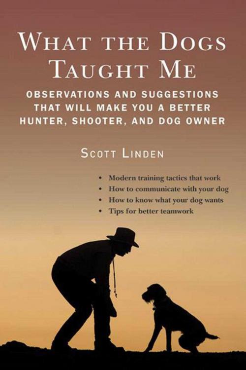 Cover of the book What the Dogs Taught Me by Scott Linden, Skyhorse