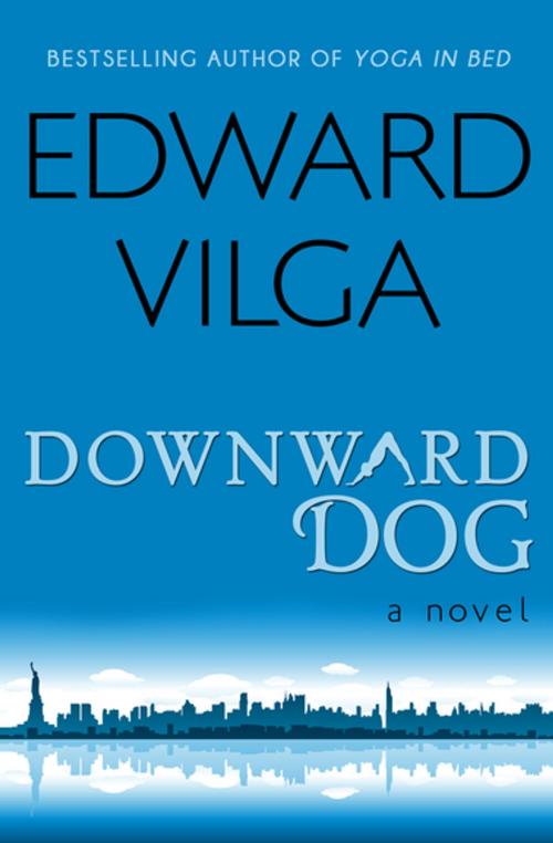 Cover of the book Downward Dog by Edward Vilga, Diversion Books