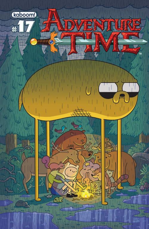 Cover of the book Adventure Time #17 by Pendleton Ward, KaBOOM!