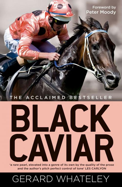 Cover of the book Black Caviar by G Whateley, ABC Books