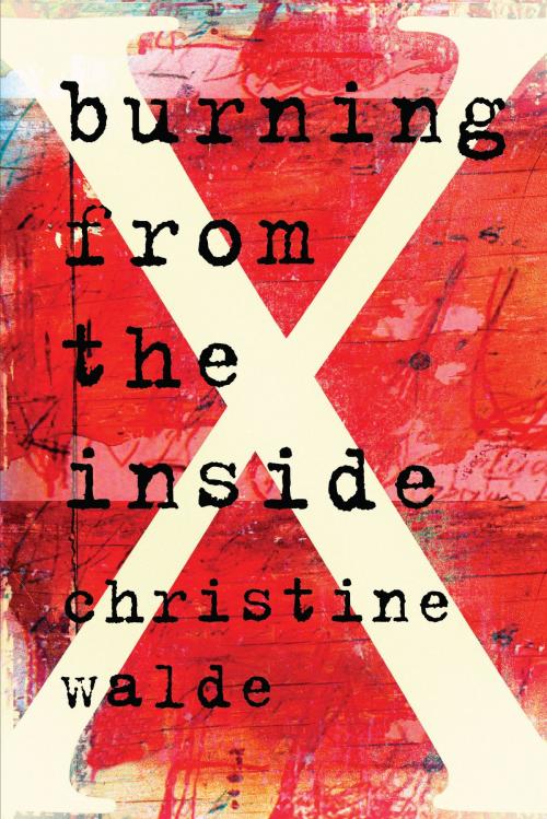 Cover of the book Burning from the Inside by Christine Walde, Cormorant Books
