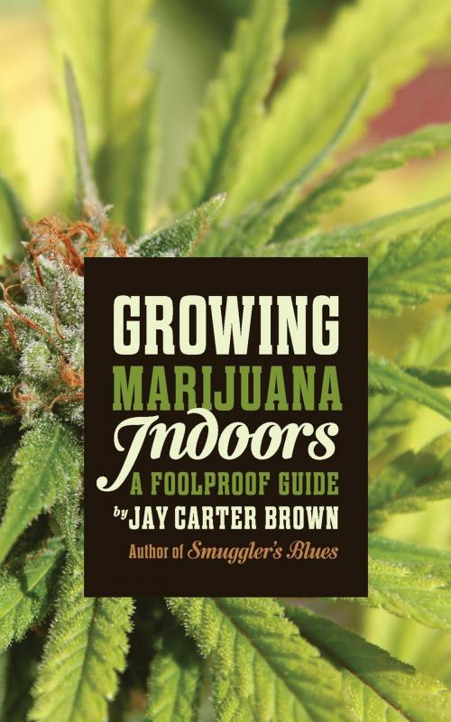 Cover of the book Growing Marijuana Indoors by Jay Carter Brown, ECW Press