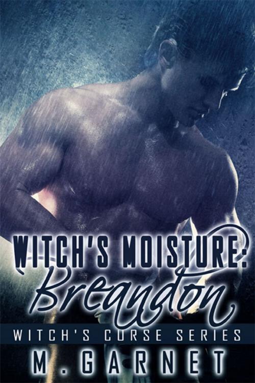 Cover of the book Witch's Moisture: Breandon by M. Garnet, eXtasy Books Inc