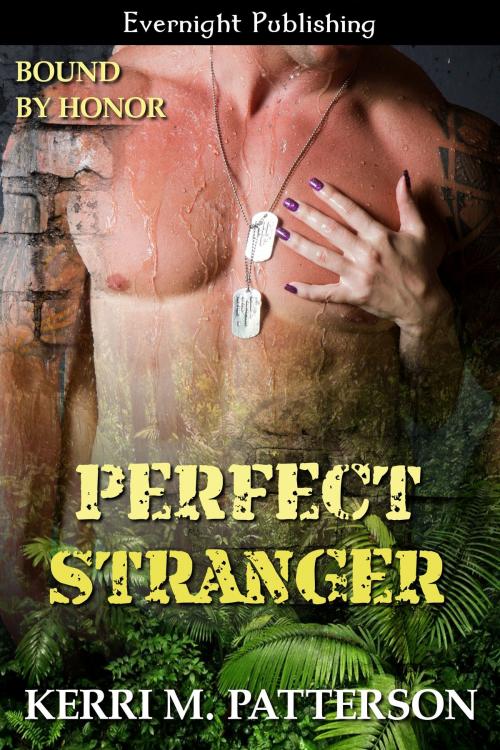 Cover of the book Perfect Stranger by Kerri M. Patterson, Evernight Publishing