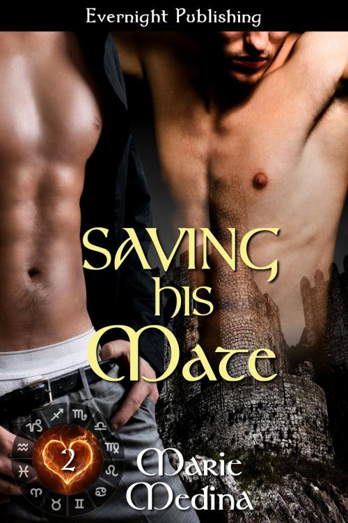 Cover of the book Saving His Mate by Marie Medina, Evernight Publishing