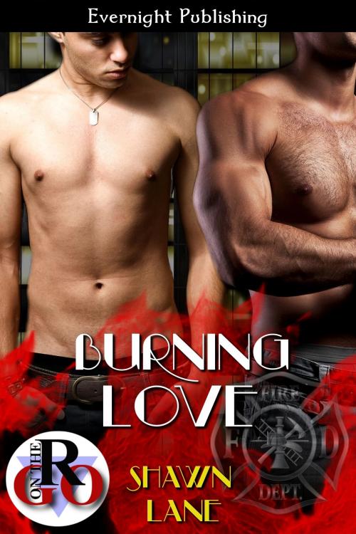 Cover of the book Burning Love by Shawn Lane, Evernight Publishing