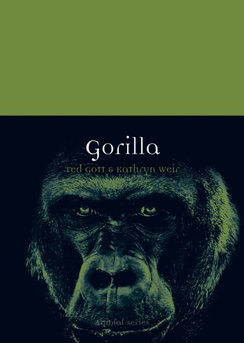 Cover of the book Gorilla by Ted Gott, Kathryn Weir, Reaktion Books