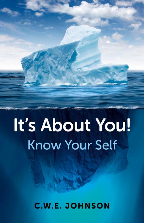 Cover of the book It's About You! by Chris Johnson, John Hunt Publishing
