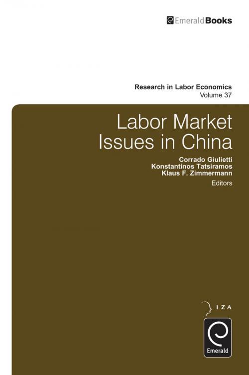 Cover of the book Labor Market Issues in China by , Emerald Group Publishing Limited