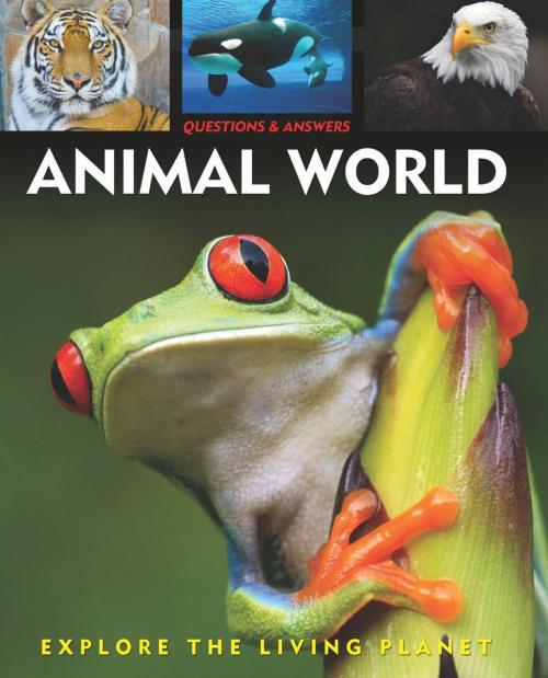 Cover of the book Questions and Answers about: Animal World by Arcturus Publishing, Arcturus Publishing