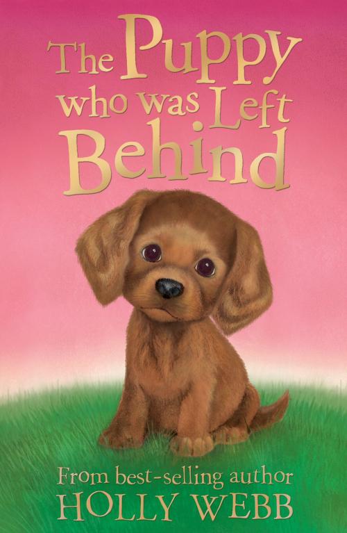 Cover of the book The Puppy who was Left Behind by Holly Webb, Stripes Publishing