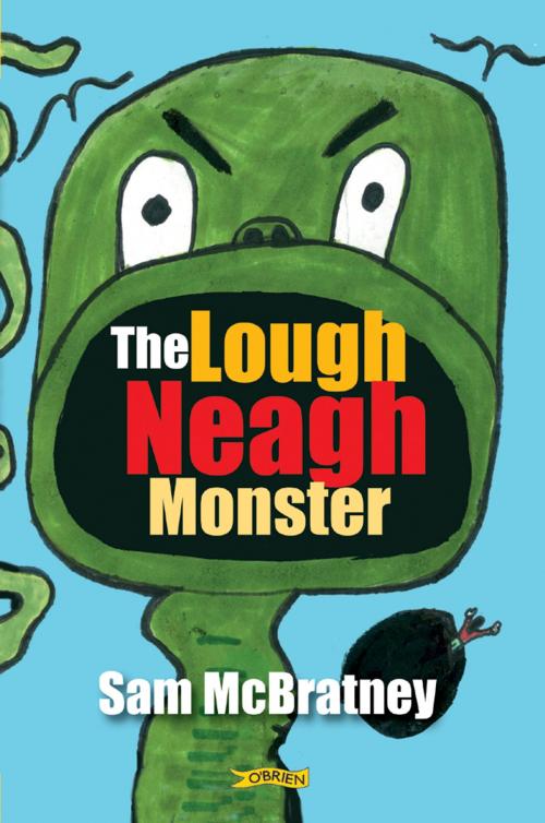 Cover of the book The Lough Neagh Monster by Sam McBratney, The O'Brien Press