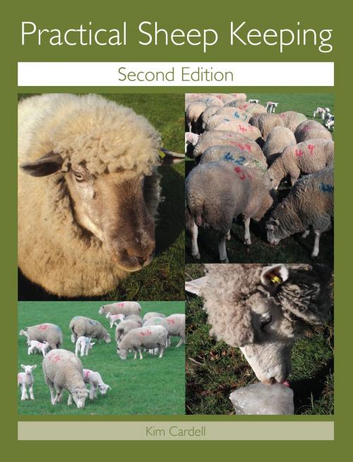 Cover of the book Practical Sheep Keeping by Kim Cardell, Crowood